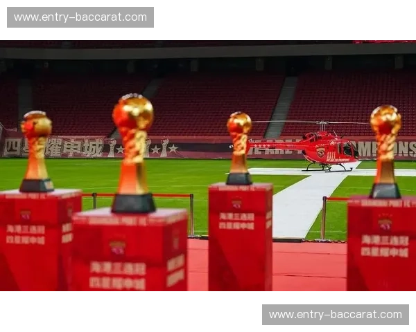 燃情绿茵，荣耀时刻！上港vs悉尼，一场不容错过的巅峰对决视频回顾